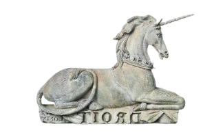 pony right