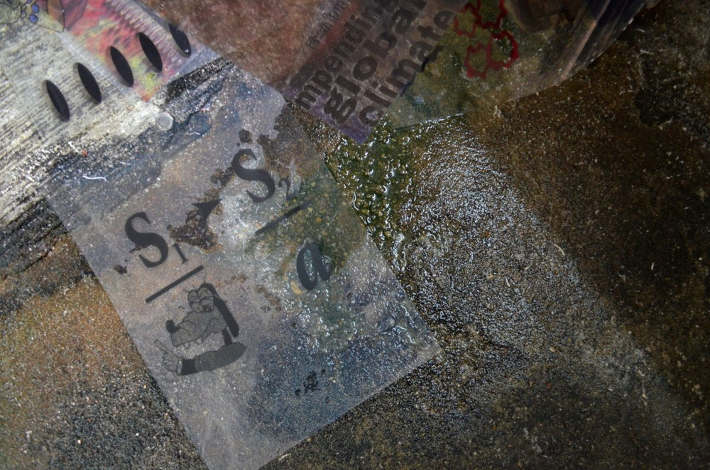 Wet Market Image 11