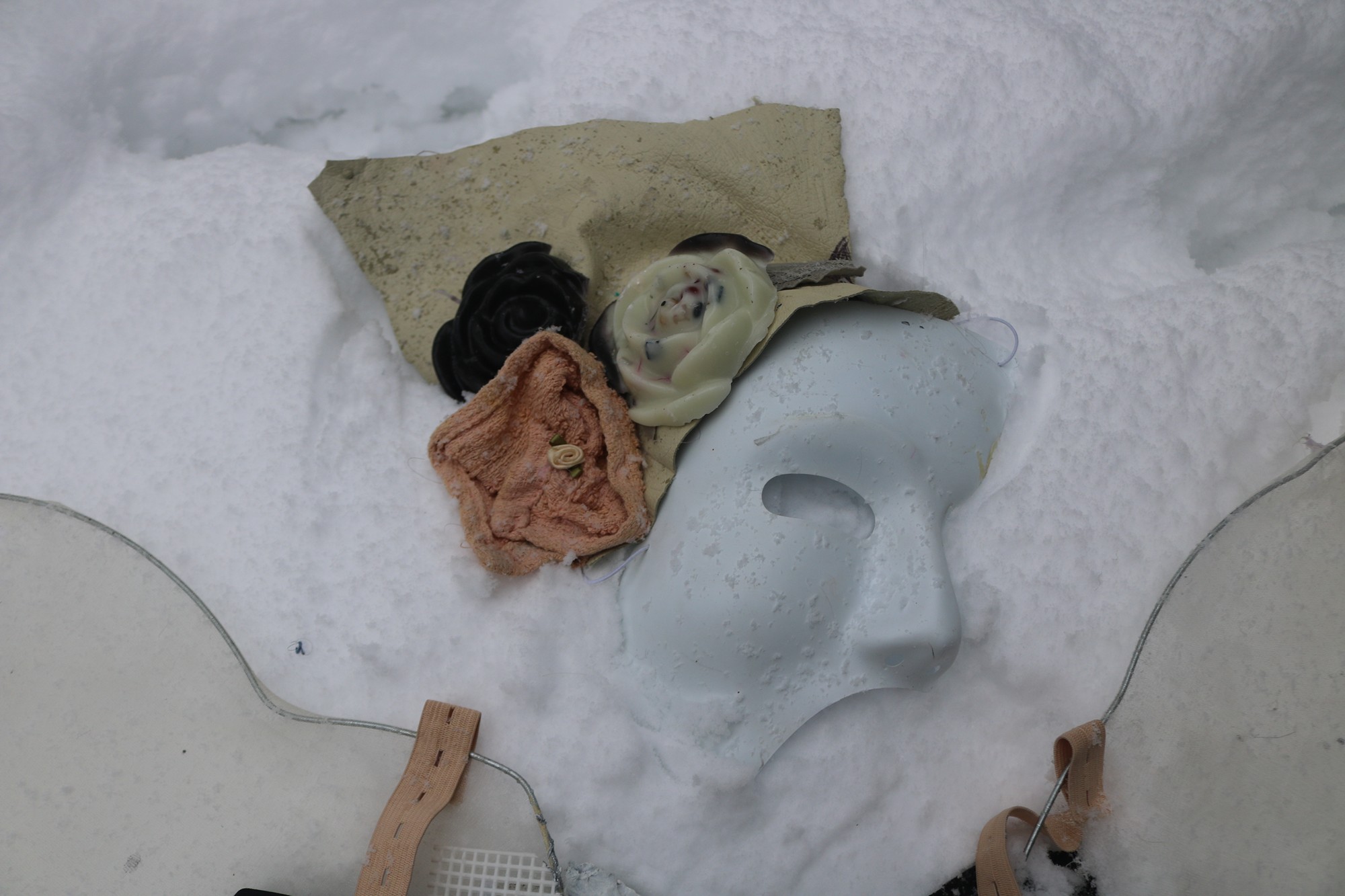exhibition by alice aster at solo show online, curated by halo