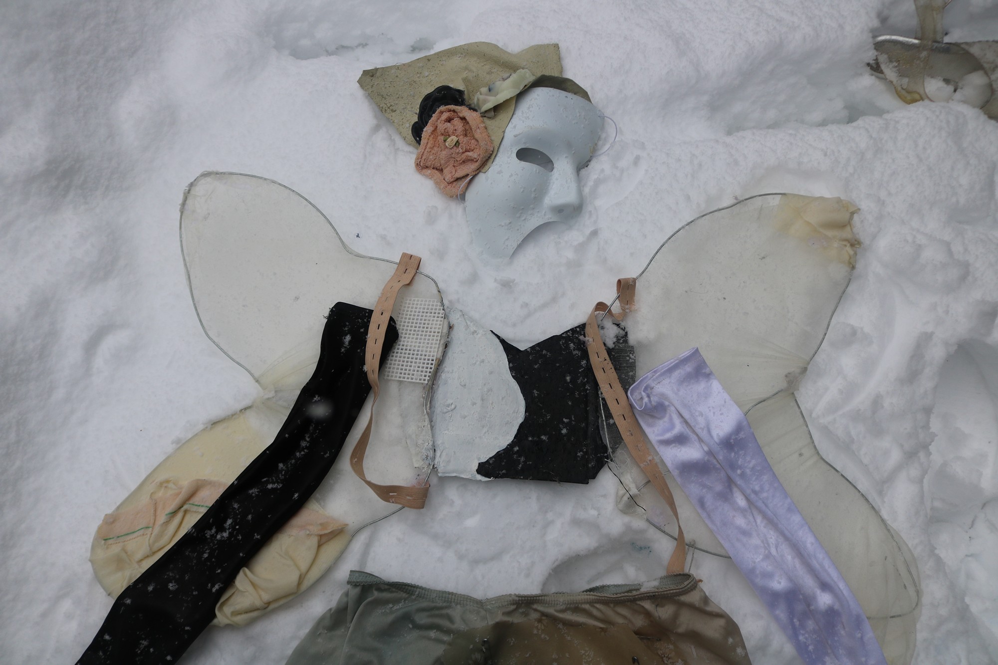 exhibition by alice aster at solo show online, curated by halo