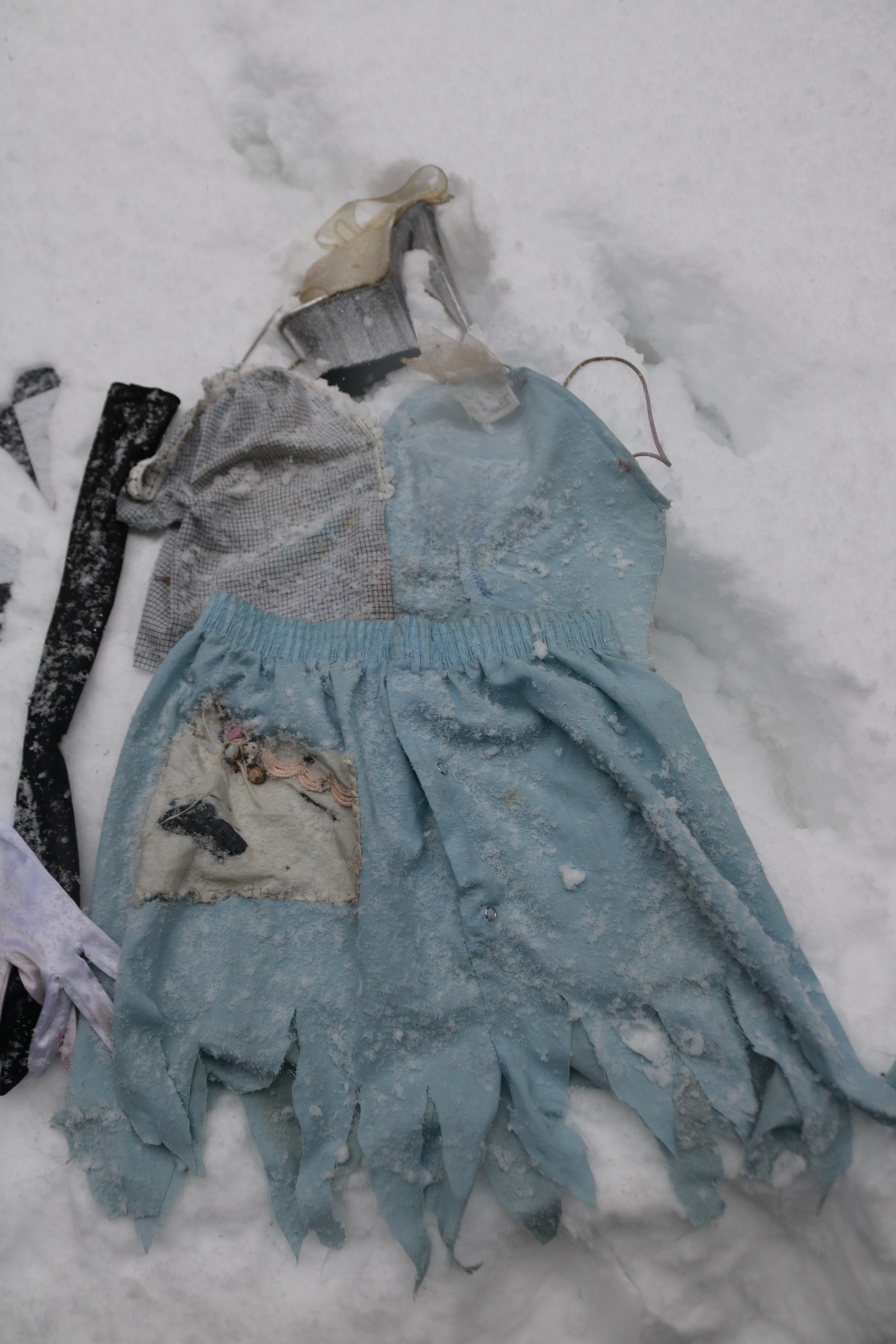 exhibition by alice aster at solo show online, curated by halo