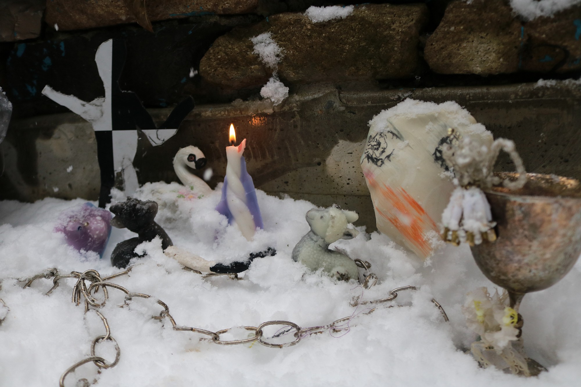 exhibition by alice aster at solo show online, curated by halo