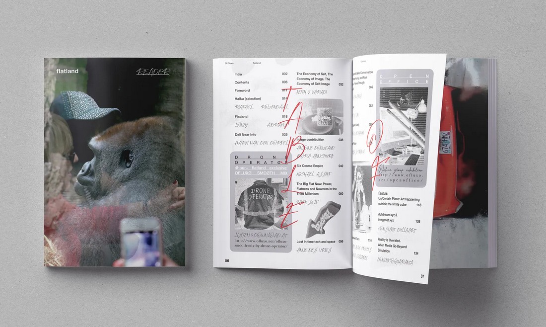 solo show online reads ofluxo flatland reader